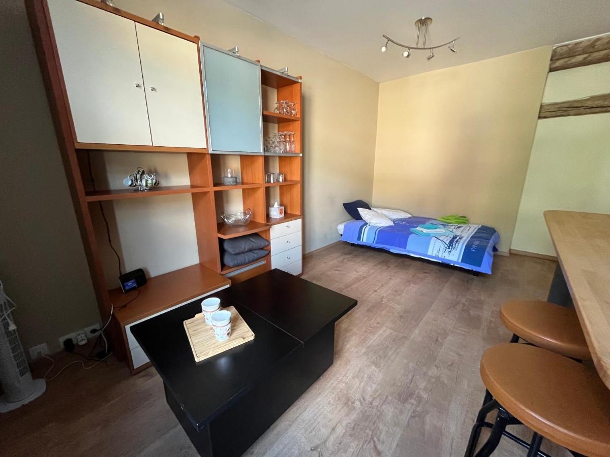 Aux Loups Blancs - Appartement Намюр Екстериор снимка