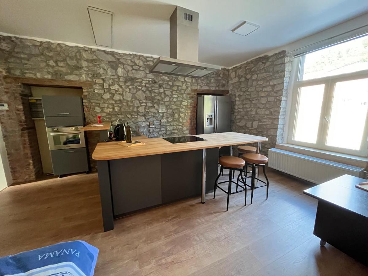 Aux Loups Blancs - Appartement Намюр Екстериор снимка